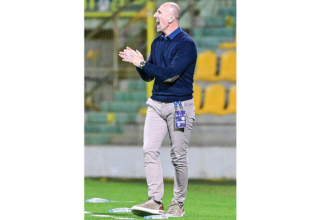 wp header logo1771894831175247067