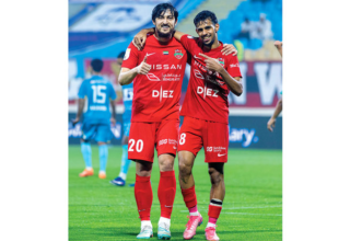 wp header logo17718948401559721108