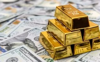 wp header logo17719056101423694146