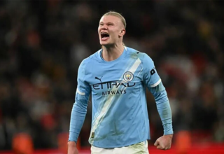 wp header logo17719236111394156121