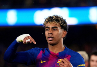 wp header logo17719236441678963709