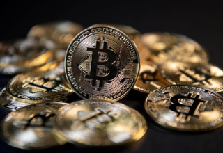 wp header logo1771927229716897682