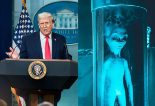 wp header logo17719308871375694323