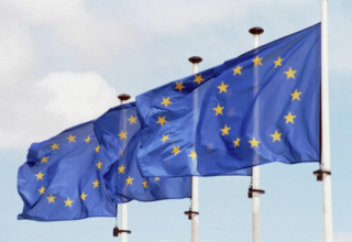 wp header logo1771948848850481820