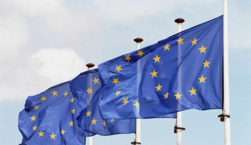 wp header logo1771948848850481820