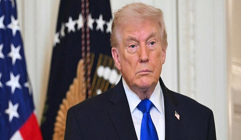 wp header logo17719524191167941529