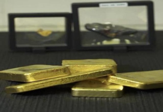 wp header logo17719560112021967551