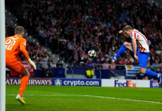 wp header logo1771963209689767387