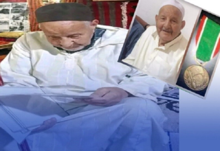 wp header logo17719740111841664029