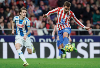 wp header logo17719812331565512030