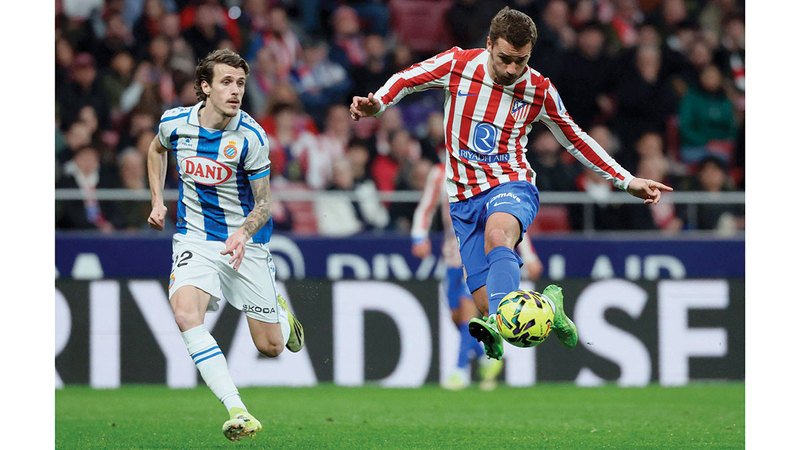 wp header logo17719812331565512030