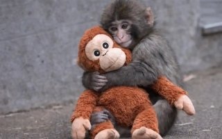 wp header logo1772006408758576837