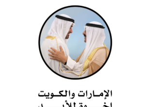 wp header logo1772006416520120192