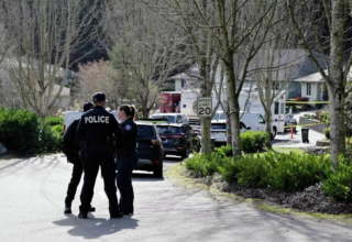 wp header logo17720064201030204804