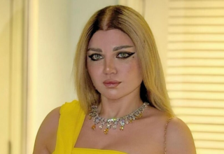 wp header logo1772010012480984340