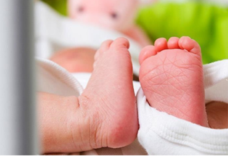 wp header logo17720100581591540342