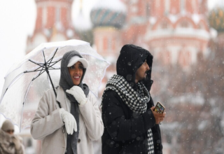 wp header logo17720172132108615847