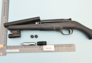 wp header logo1772017231178958422