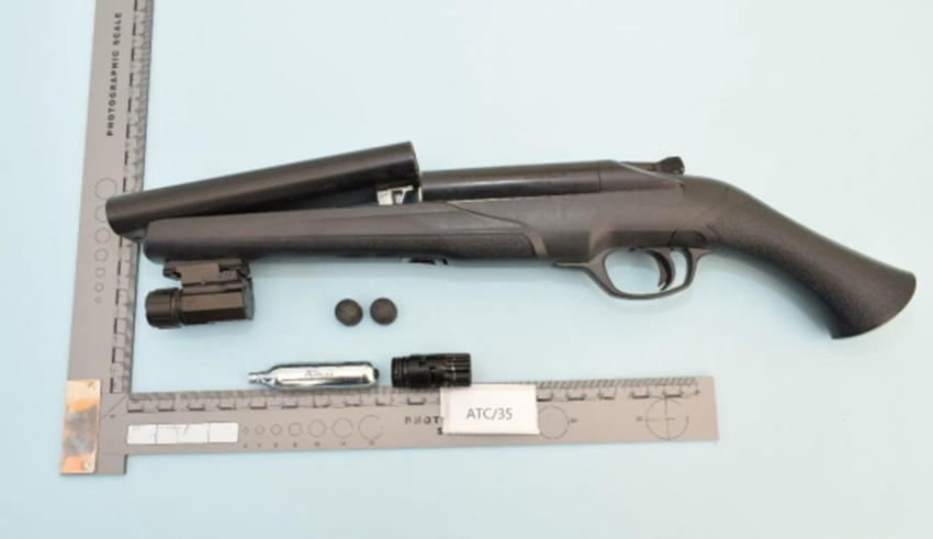 wp header logo1772017231178958422