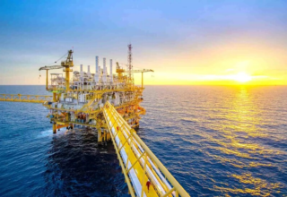 wp header logo17720208151567679308