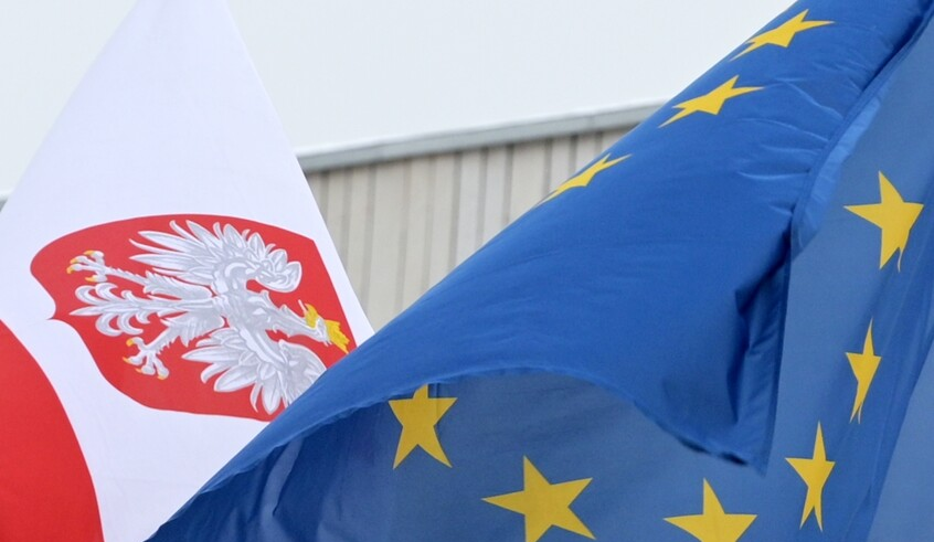 wp header logo17720316351184041744