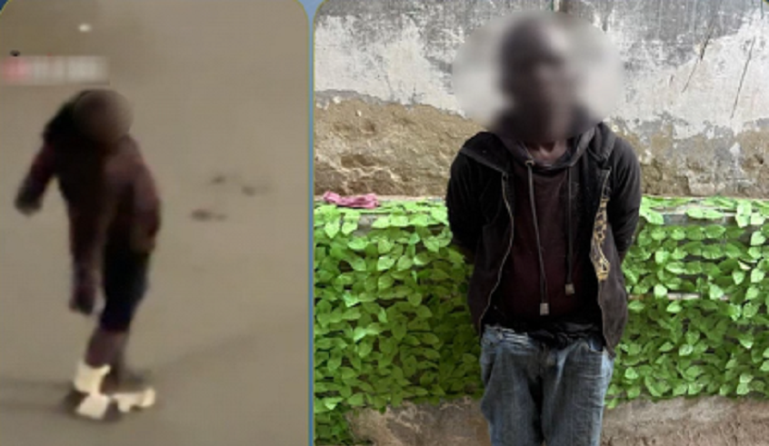 wp header logo17720532131694863259