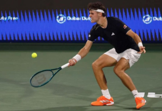 wp header logo17720568081979013931