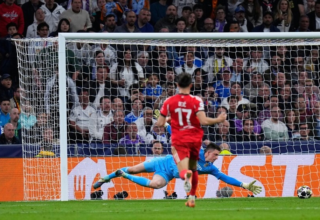 wp header logo1772060426457828726