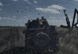 wp header logo17720604561059000664