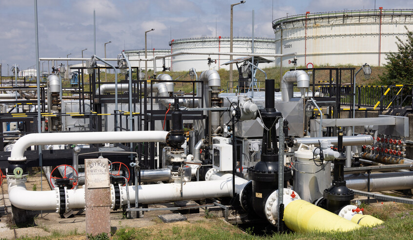 wp header logo1772064023803051472