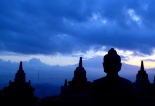 wp header logo17720892211626739512