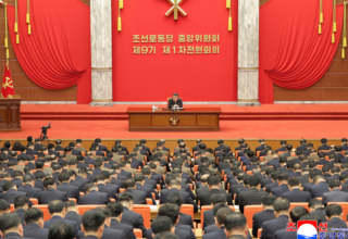 wp header logo17720928371420037727