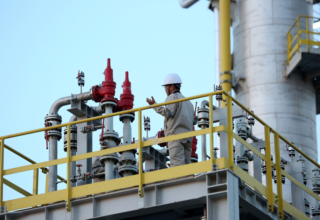 wp header logo17720964091243689567