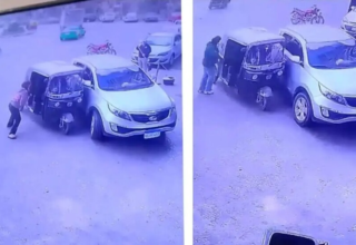 wp header logo177209640914690662