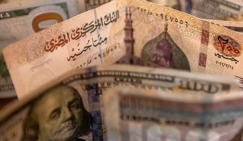 wp header logo17721072151068930179