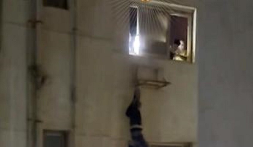 wp header logo17721072171322935083