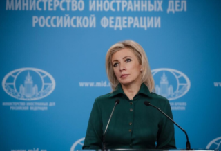 wp header logo17721216331379953113