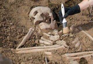 wp header logo1772132412654049810