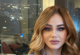 wp header logo17721360181766329328