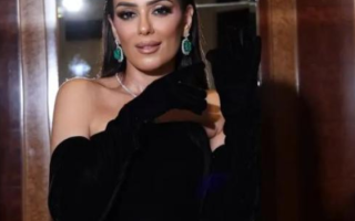 wp header logo177213604118013084