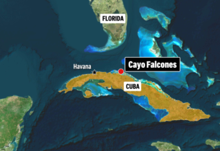 wp header logo17721468311184001410