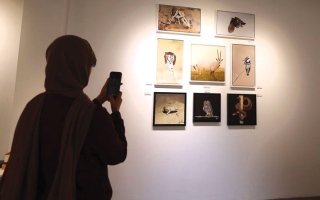 wp header logo17721540141450885909