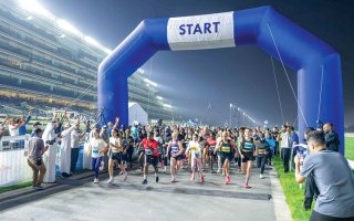 wp header logo1772154025774298114