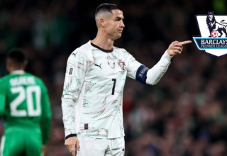 wp header logo17721684151612524442