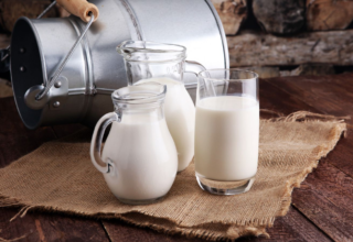 wp header logo17721720081605780958