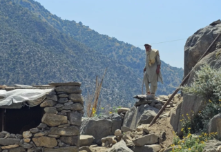 wp header logo17721720091259934388