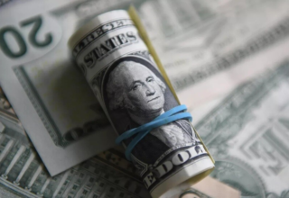 wp header logo1772172010425492102