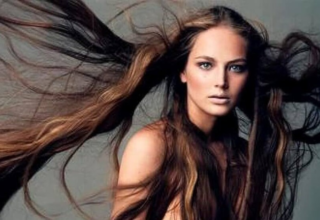 wp header logo17721756951095302834