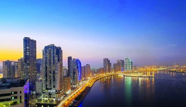 wp header logo17721792091436422766