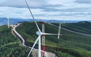 wp header logo17721828081499106470